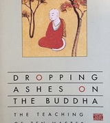 dropping ashes on the buddha_53e2