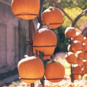 brice-cooper-5sxK6LPpipY-unsplash