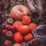 pumpkins-5691909_640